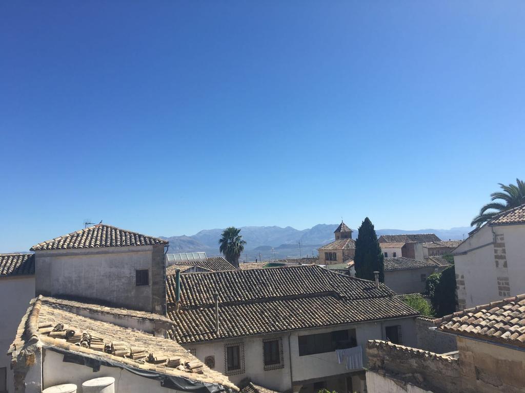 Sol Real